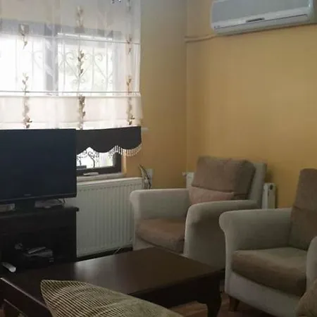 S * İçmeler